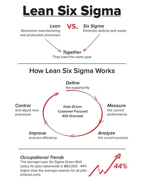 What Is Lean Six Sigma Infographic