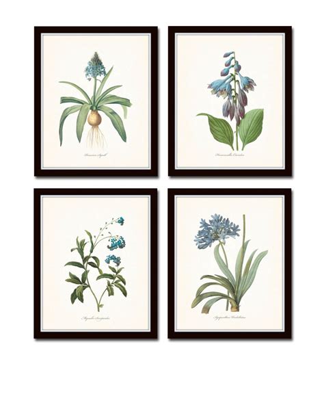 Blue Botanical Print Set No 4 Fine Art Giclee Prints Botanical