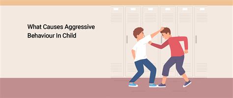 What Causes Aggressive Behaviour In Child Waitt