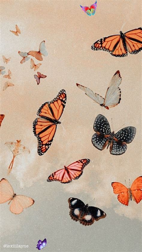 Borboletas In 2020 Butterfly Wallpaper Iphone Aesthetic Iphone