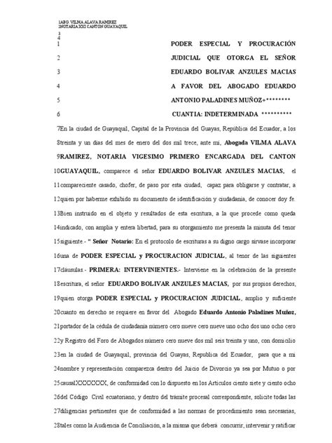 Poder Procuracion Divorcio Pdf Matrimonio Ecuador