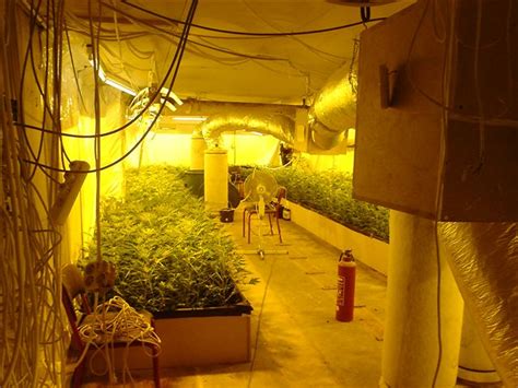 Grow Room Ventilation Hydroponic Grow Shops And Garden Centers