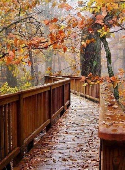 Photography Nature Autumn Pathways 34 Ideas Fall Pictures Nature