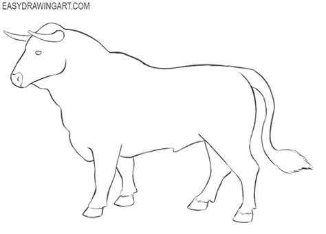 How To Draw A Bull Easy Drawing Art