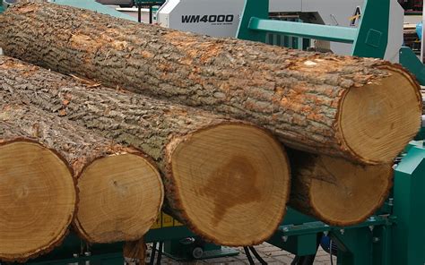 Pula drewna na nowe inwestycje rozeszła się w 85% - DREWNO.PL
