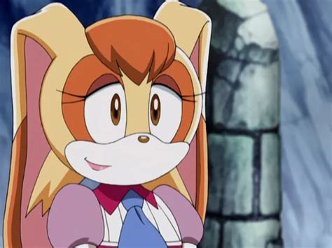 Vanilla The Rabbit Sonic X Character Community Wiki Fandom