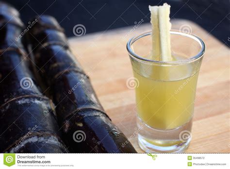 Red Sugar Cane Stock Photo Image Of Herb Juice Cane 35498572