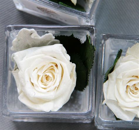 Cute White Rose Food Peanut Butter Flower Arrangements