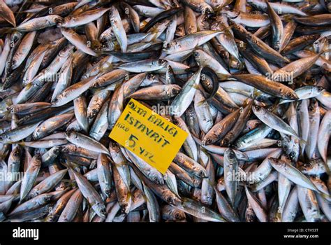 Fish Market Istanbul Turkey Stock Photo Alamy