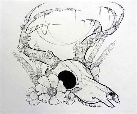 Deer Skull And Flowers By Shewolf444 On Deviantart