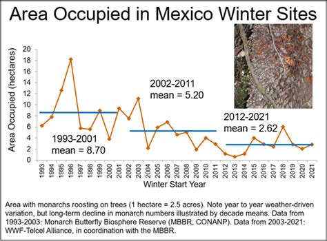 05252022 Monarch Winter Population Numbers