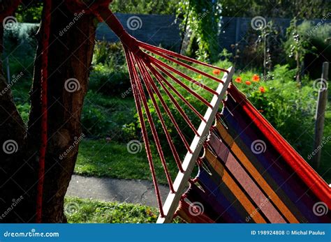 rocking chair hammock with wooden support among the trees in the garden view of naked hairy