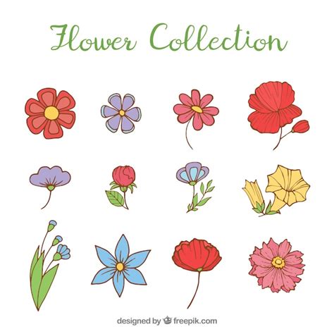 Colección De Flores Coloridas En Estilo Hecho A Mano Vector Gratis