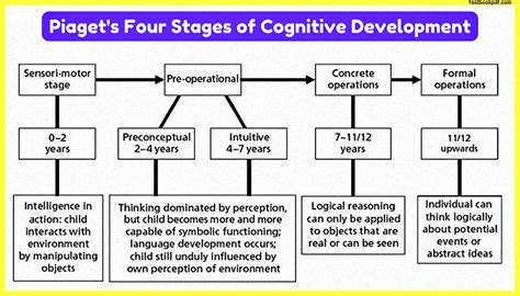 Piaget Four Stages Of Cognition Development