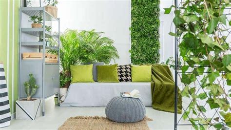 Low Maintenance Plants For Your Home Indoor Gardening