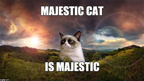 Majestic Cat Is Majestic Imgflip