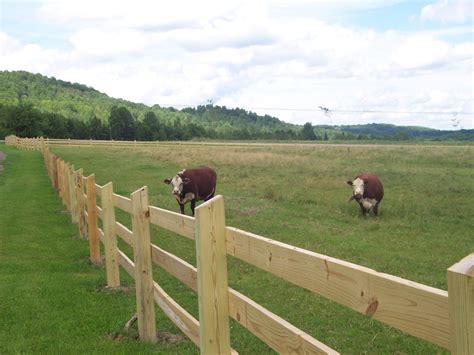 Livestock Fencing Round Hill Fence