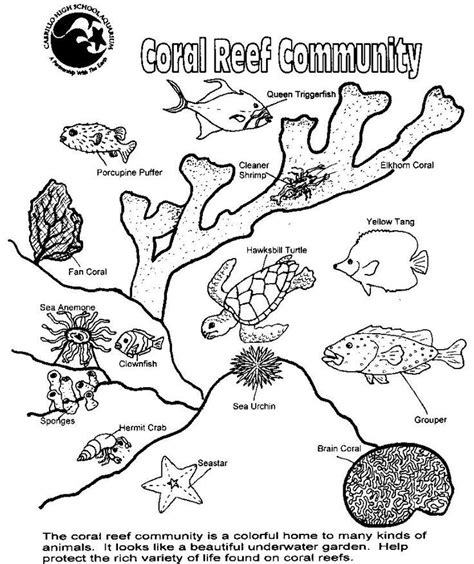 Ocean Zones Coloring Page Coral Reef Art Coral Reef Drawing Ocean