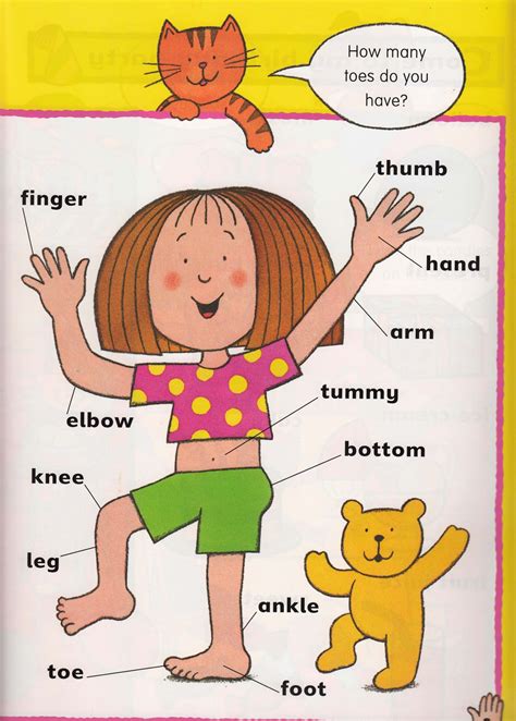 Parts Of The Body Esl Kids
