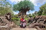 How To Visit Disney's Animal Kingdom in One Day - The MOM Trotter
