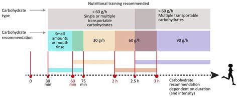 Nutrition And Performance In Sport Topic 1 Carbohydrate Sports