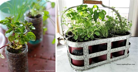 15 Fabulous Diy Herb Garden Ideas That Are Perfect For