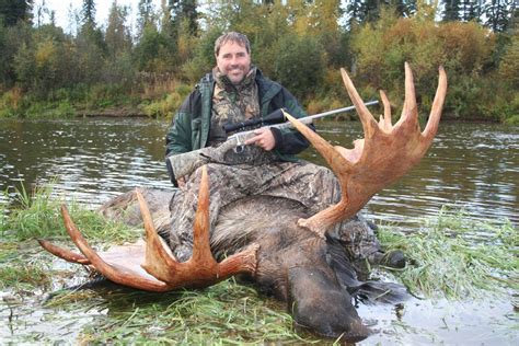 Guided Alaska Moose Hunt Huge Alaska Trophy Moose 2021