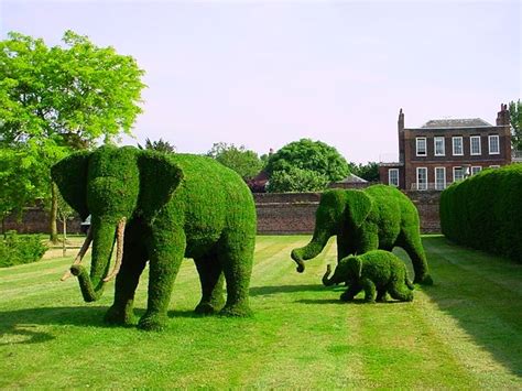 25 Examples Of Amazing Topiary Art And Designs