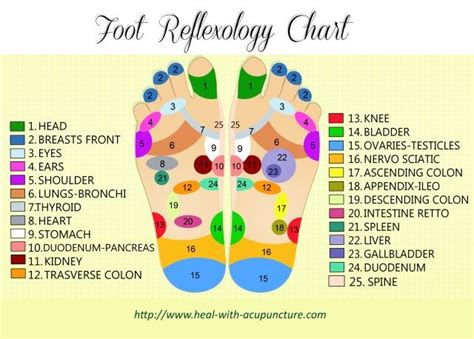 Foot Reflexology Chart With Images Essential Oils For Thyroid