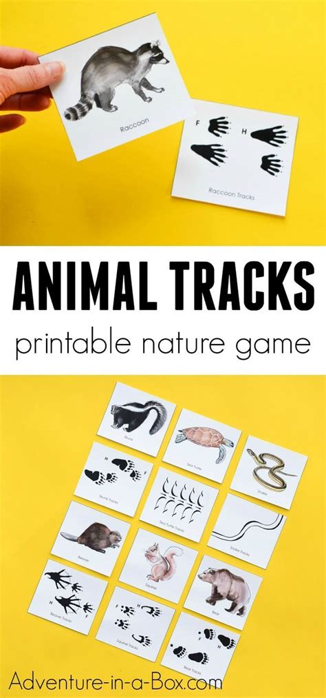All the following games and activities for kindergarten, preschool and esl students have been tried and tested in classrooms by the magic crayons, who are experienced teaching professionals. Animal Tracks: Printable Game for Kids | Printable games ...
