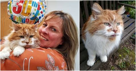 Worlds Oldest Living Cat Celebrates His 30th Birthday Cole And Marmalade