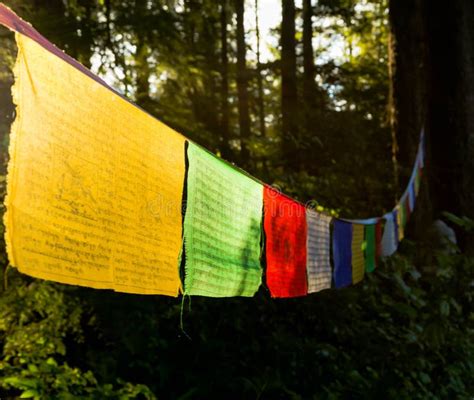 Tibetan Prayer Flags In The Forest Stock Photo Image Of Compassion