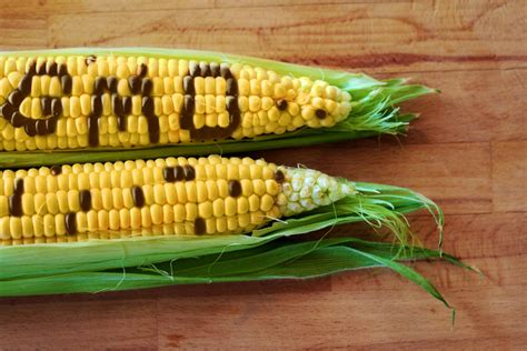 Gmo Foods And Children Potential Health Risks You Need To Know