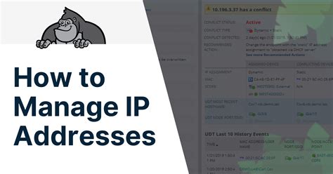 How To Manage Ip Addresses Gorilla Guide