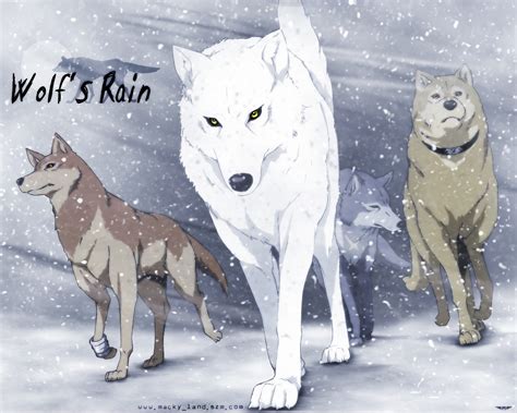 Волки в аниме Wolfs Rain обои для рабочего стола картинки фото