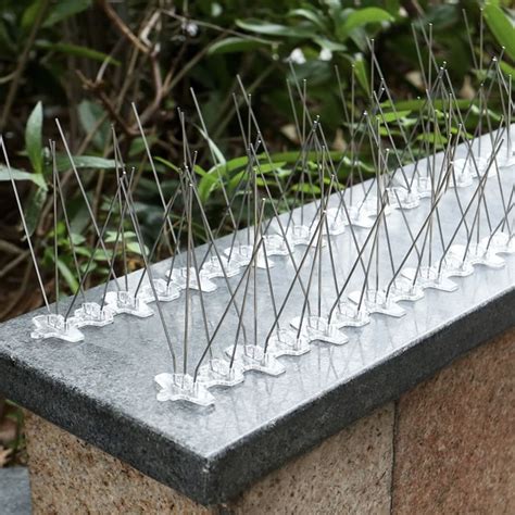 Anti Bird Spikes Non Lethal And Environmentally Friendly Buy Online