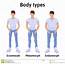 Constitution Of Human Body Man Types Stock Vector  Illustration