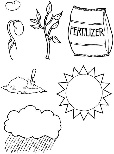 Mustard Seed Parable Coloring Page