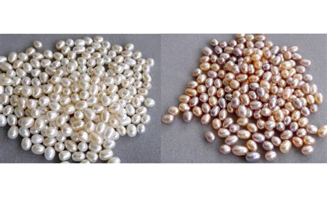 Aa 4 5mm White Rice Pearls Loose Oval Loose Pearl Beads Diy Pearl