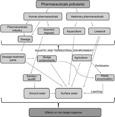 Major Pollution Pathways Of Pharmaceutical Residues In The Aquatic
