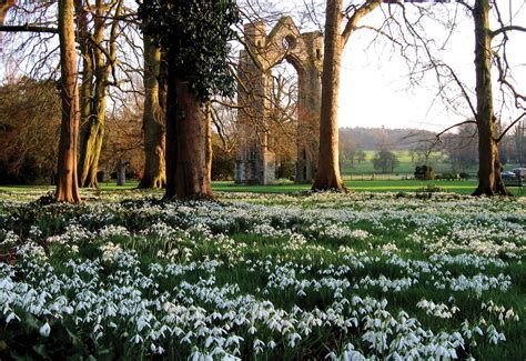 10 Of The Uks Best Snowdrop Walks Wanderlust