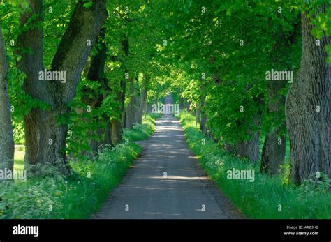 Country Road Bavaria Germany Stock Photo Alamy