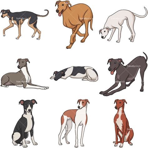 Cartoon Greyhound Dogs Clipart Vector Collection Friendlystock
