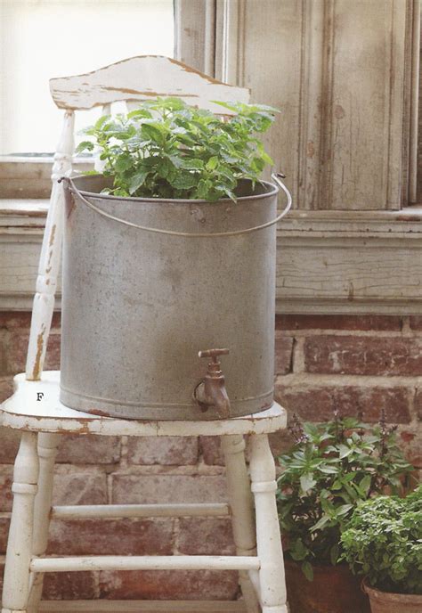 Farmhouse Musings Galvanized Water Bucket Planter