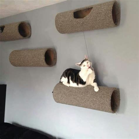 A Black And White Cat Laying On Top Of A Scratching Post