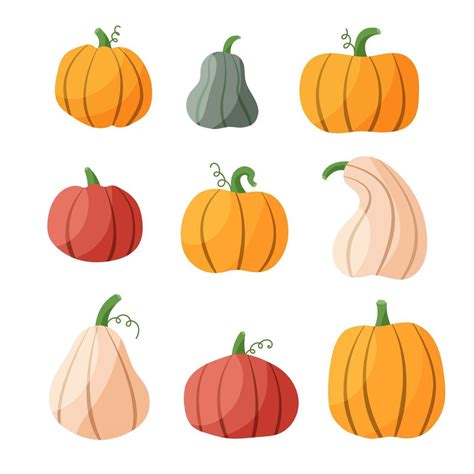 Pumpkin Autumn Hand Drawn Set Thanksgiving And Halloween Elements