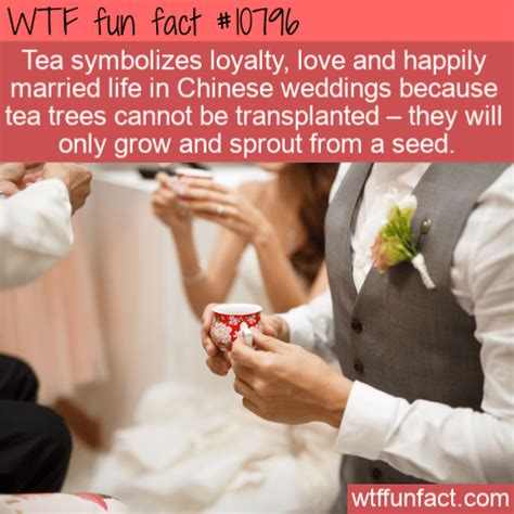 Wtf Fun Fact Tea Symbolism