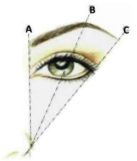 How To Choose Your Eyebrow Shape Correctly When Getting Ready For