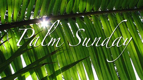 Palm Sunday Reflection Bryan Hardwick
