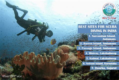 Best Scuba Diving Courses In India Memugaa